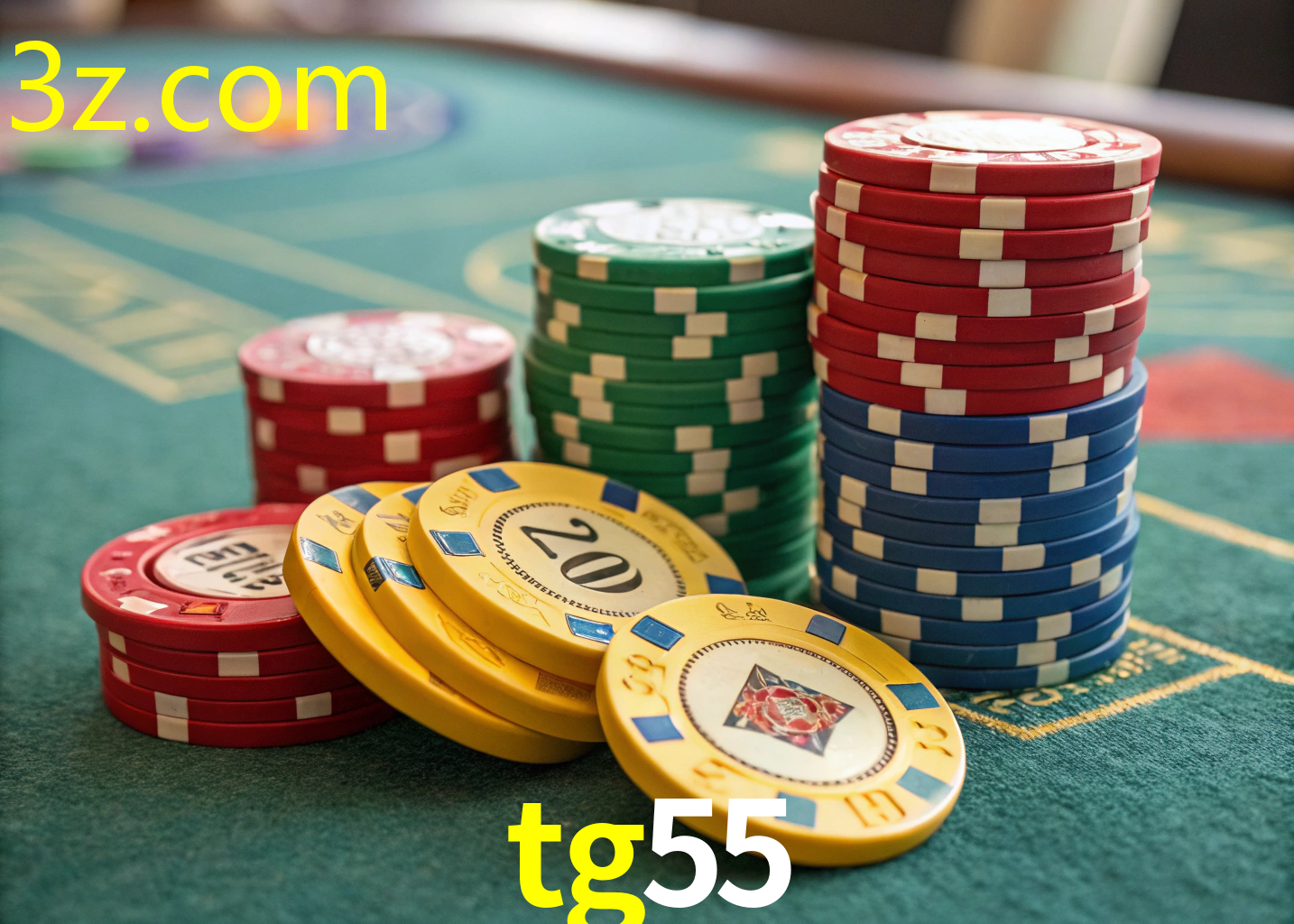 TG55.COM