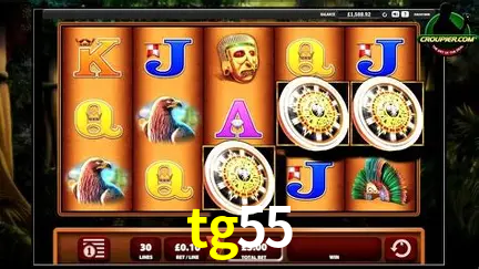 Descubra a Magia dos Jogos de Arcade no tg55